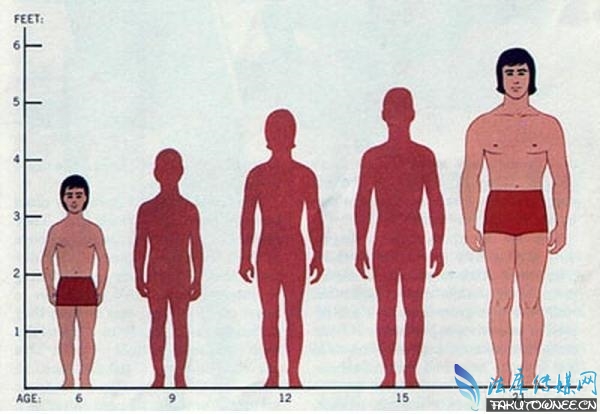 新疆发现“巨人”墓葬消息是真的吗？人类未来身高的极限是多少？